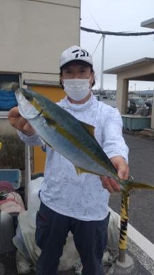 イナダ(ブリ)