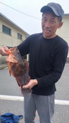 カサゴ