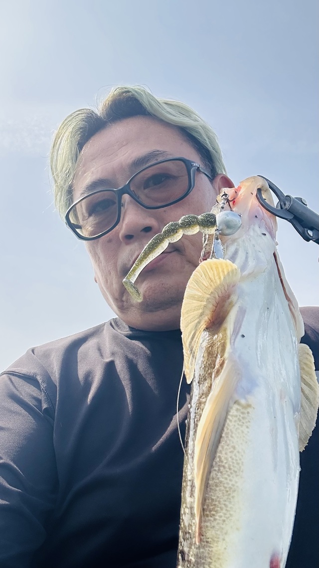 マゴチ