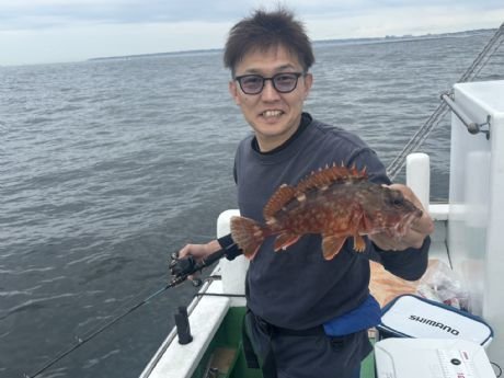 カサゴ