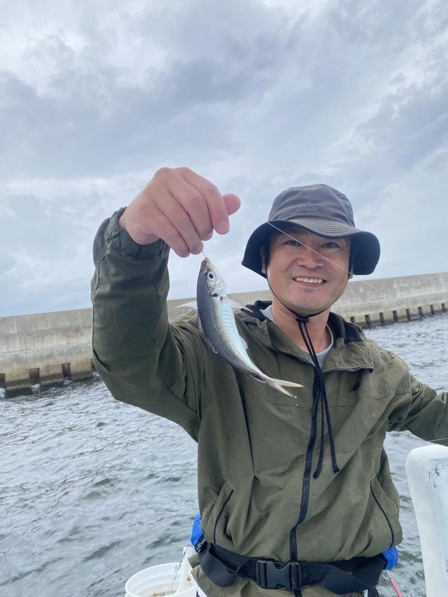 アジ(マアジ)