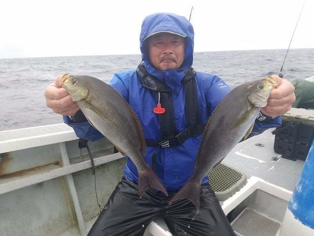 イサキ