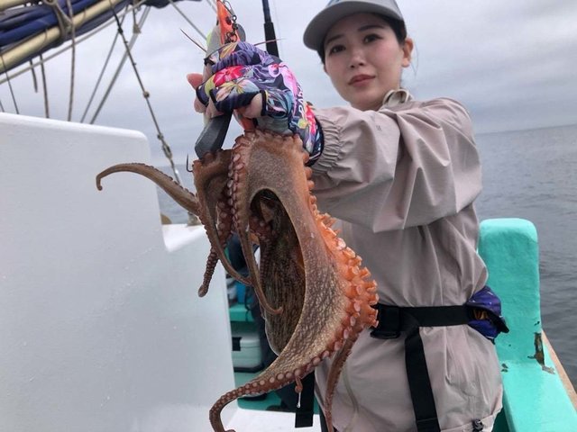 タコ(マダコ)