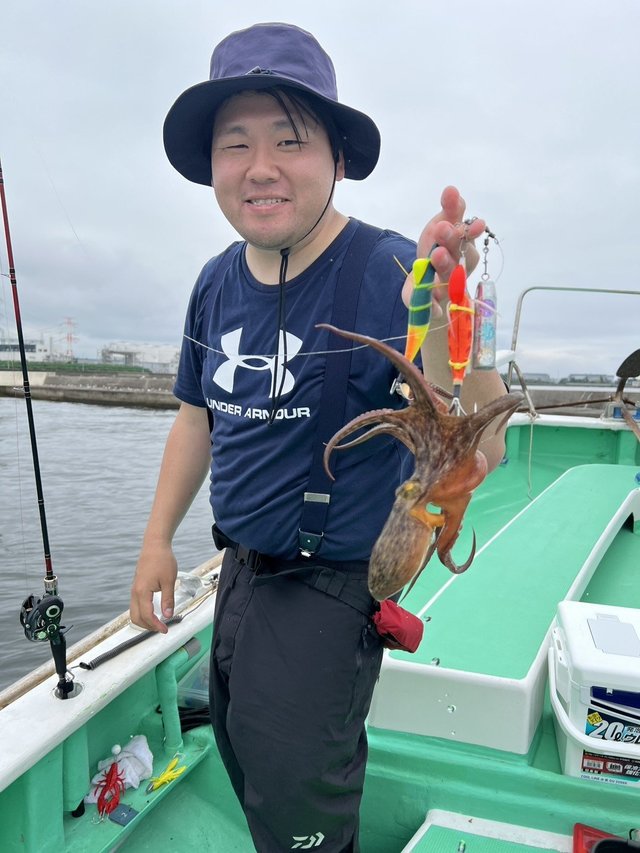 マダコ
