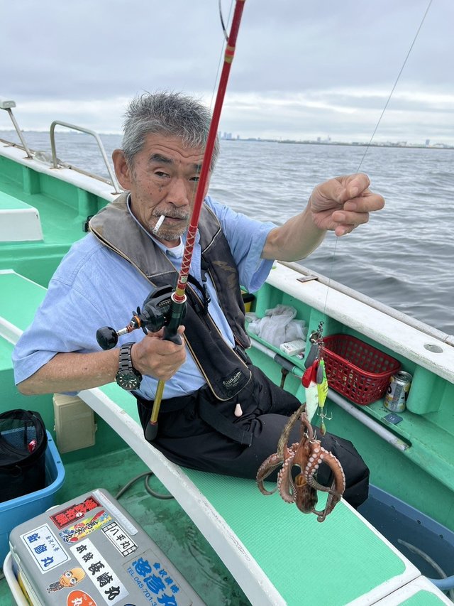 マダコ