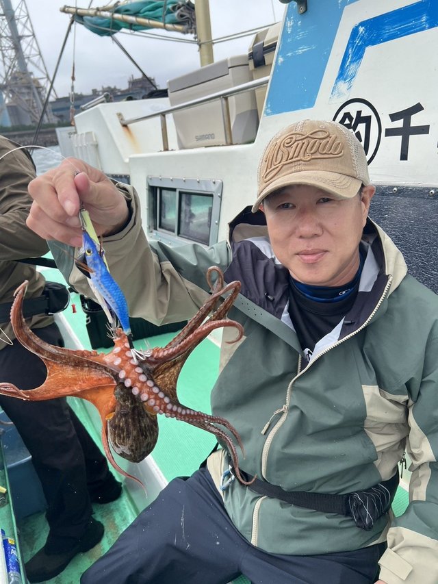 マダコ