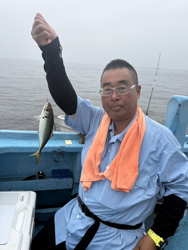 アジ(マアジ)