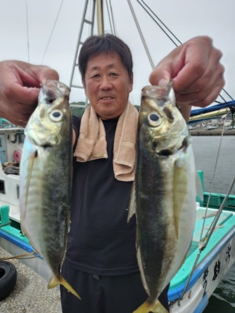 アジ(マアジ)
