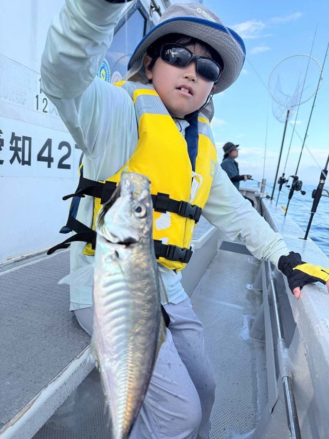 アジ(マアジ)
