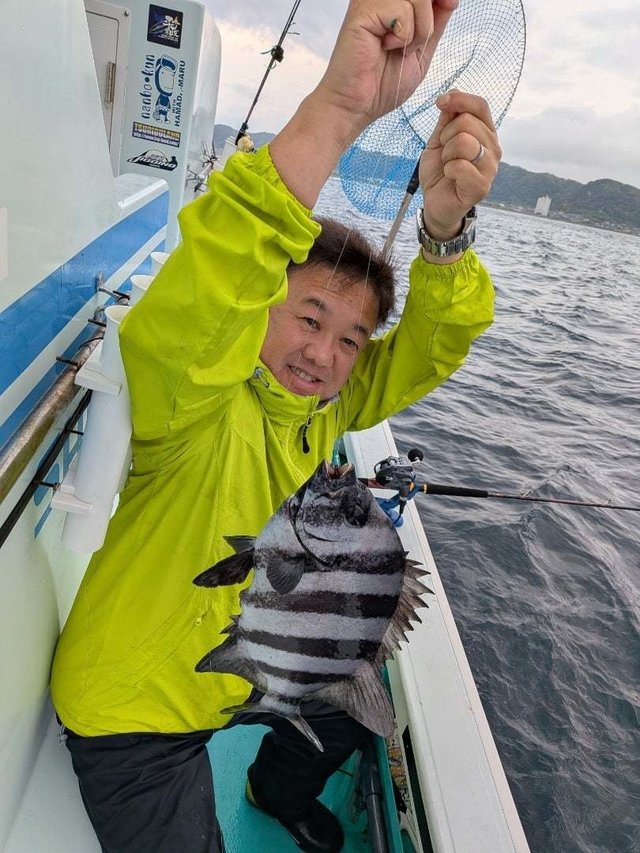 イシダイ