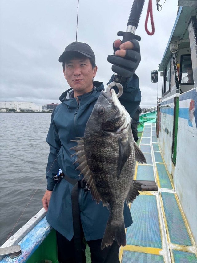 クロダイ