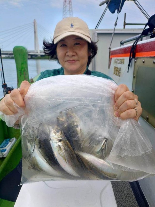 アジ(マアジ)