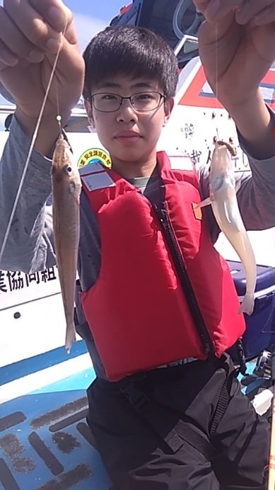 シロギス