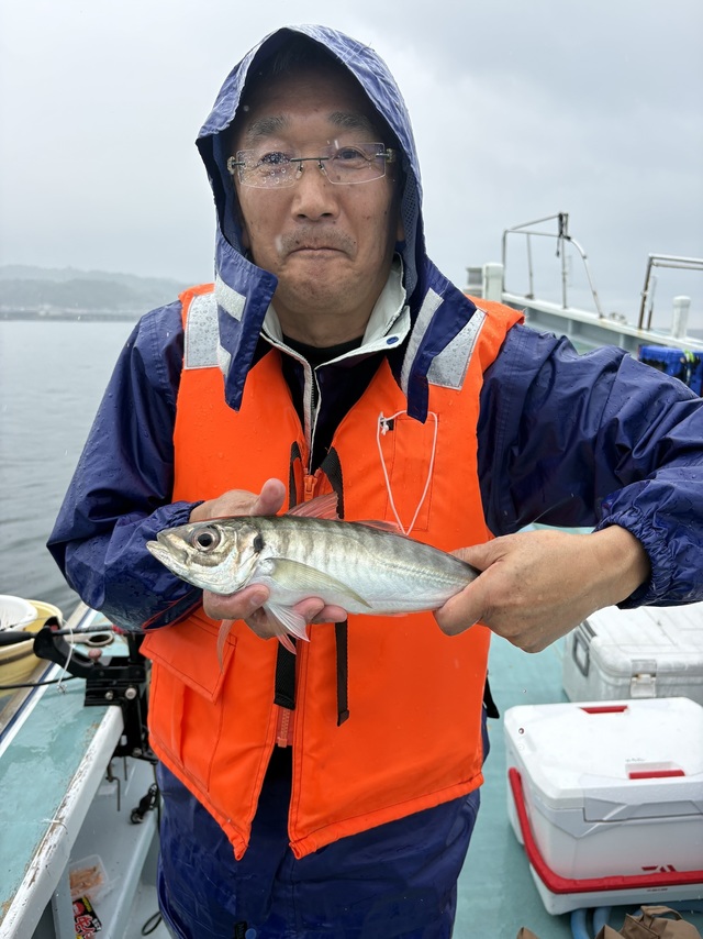アジ(マアジ)