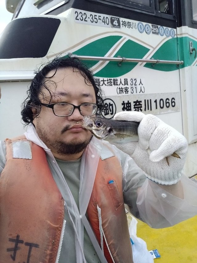 アジ(マアジ)