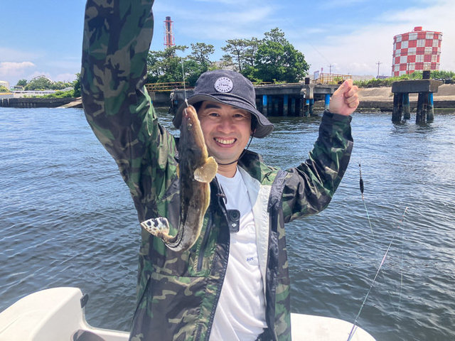マゴチ