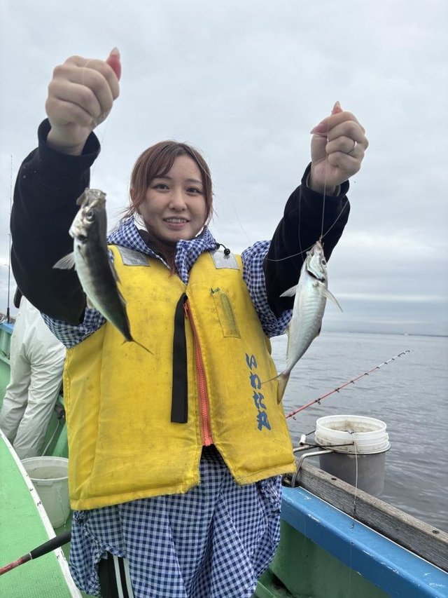 アジ(マアジ)