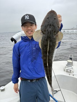 マゴチ