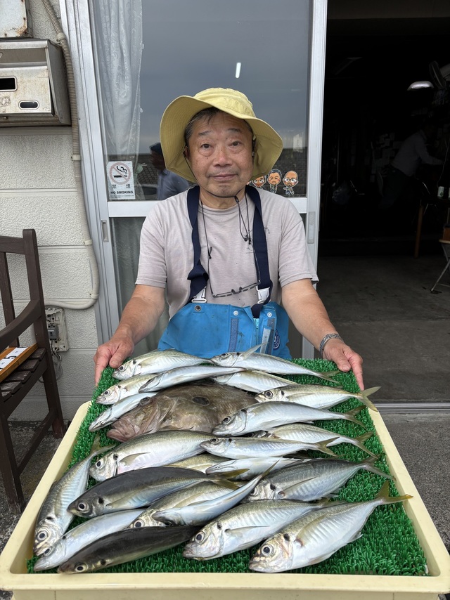 アジ(マアジ)