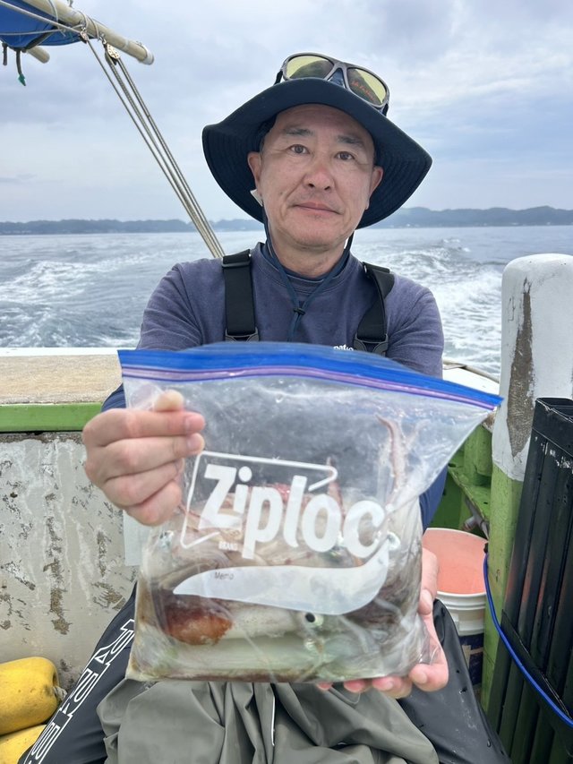 マルイカ(ケンサキイカ)