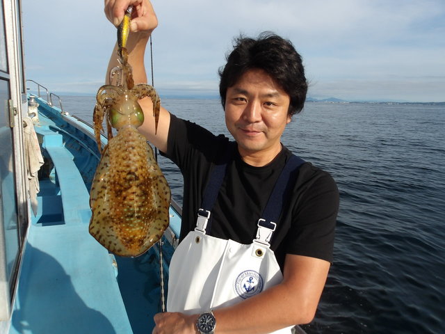 関東で釣れたアオリイカの最新釣果、釣り情報【2026年6月】