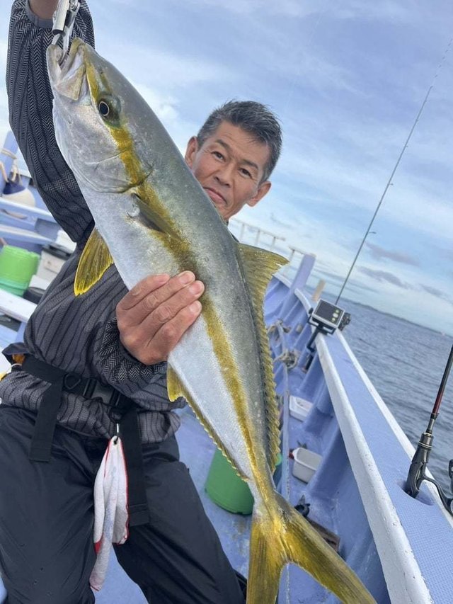 ヒラマサ