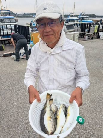 ショウサイフグ
