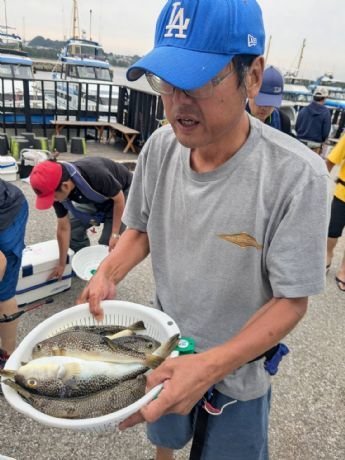 ショウサイフグ