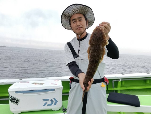 マゴチ
