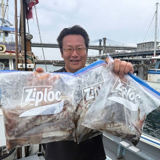 ムギイカ(スルメイカ)・ニセイカ(スルメイカ)