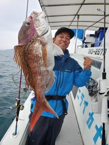 マダイ