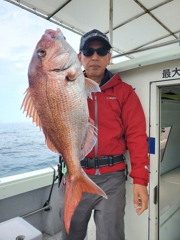 マダイ
