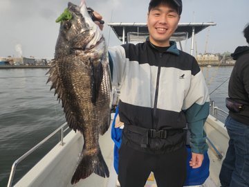 クロダイ