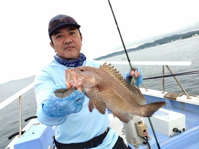 オオモンハタ