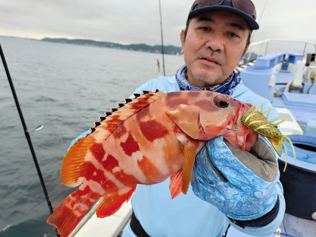アカハタ