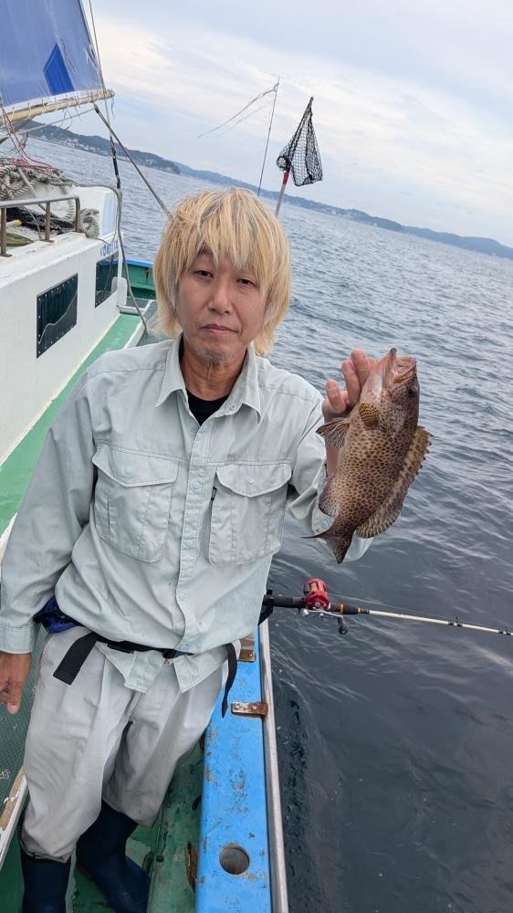 オオモンハタ