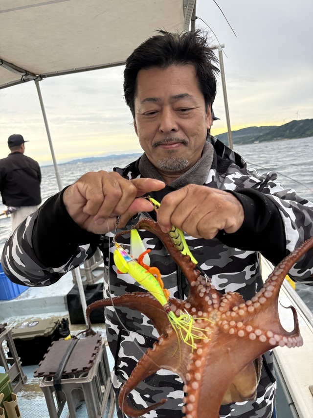 マダコ