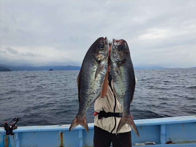 メダイ