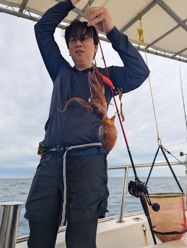 マダコ
