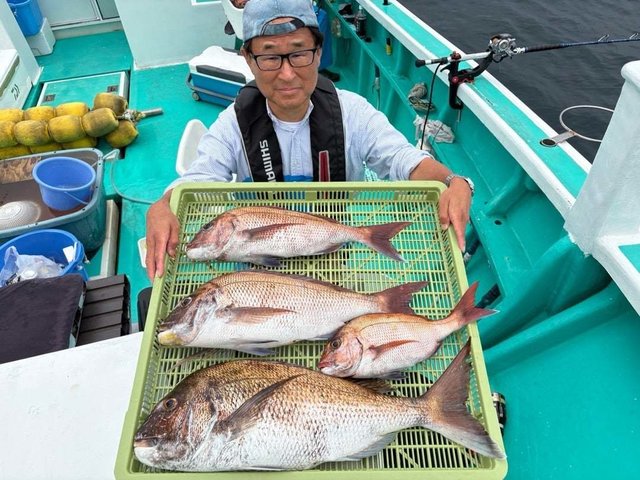 マダイ