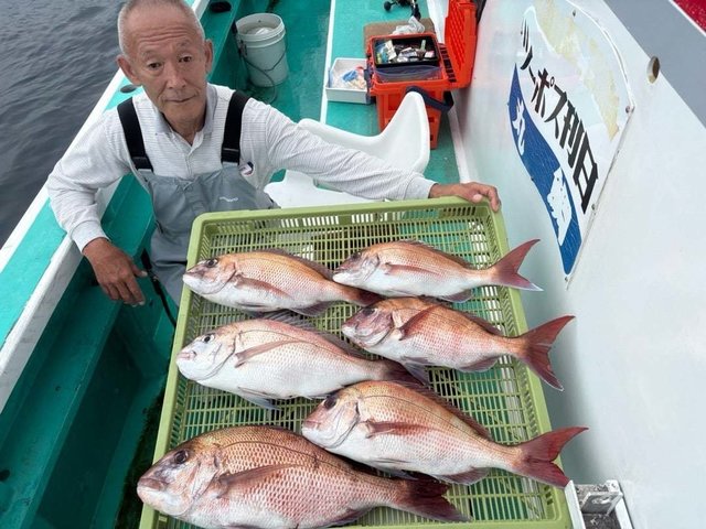 マダイ