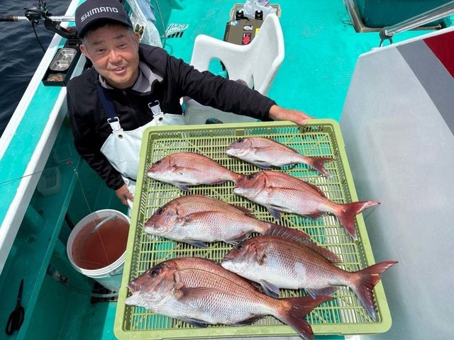 マダイ