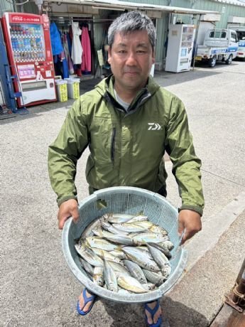 アジ(マアジ)