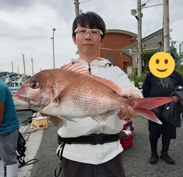 マダイ