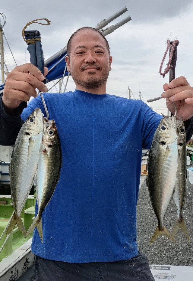 アジ(マアジ)