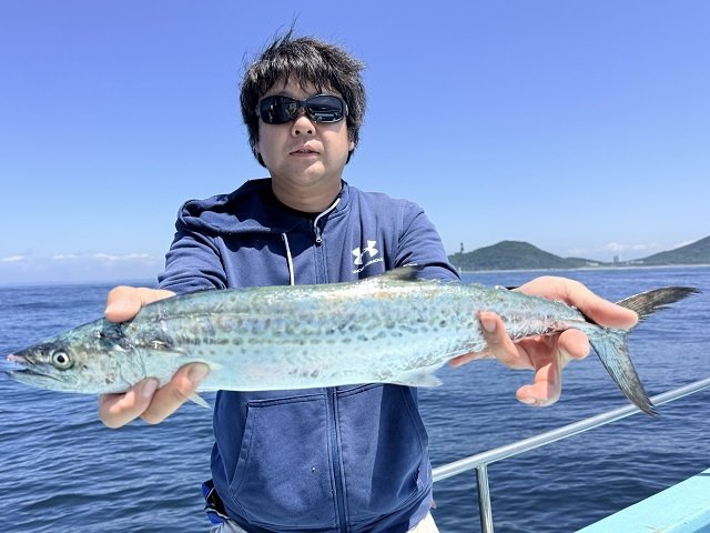 サゴシ(サワラ)