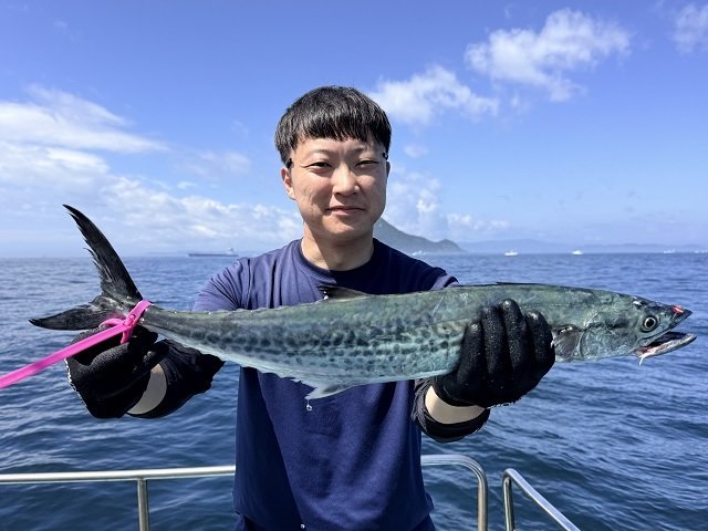 サワラ