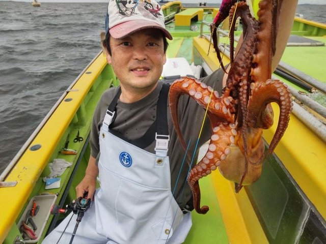 マダコ