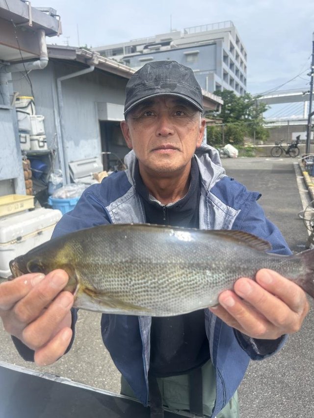 イサキ