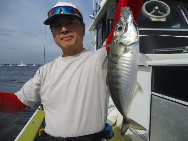 アジ(マアジ)